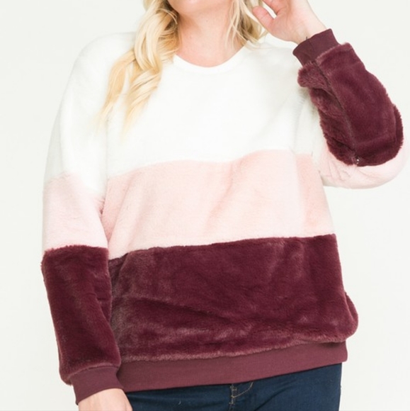 Neapolitan Teddy Sweatshirt - Picture 1 of 5